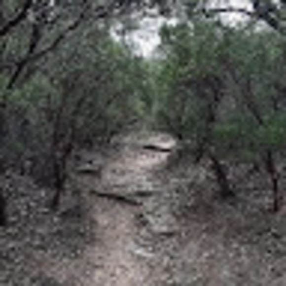 pierceprzybyla